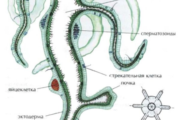 Ссылка на сайт блэкспрут через тор