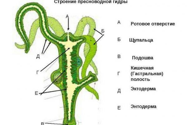 Мега зеркало рабочее на сегодня ссылка тор