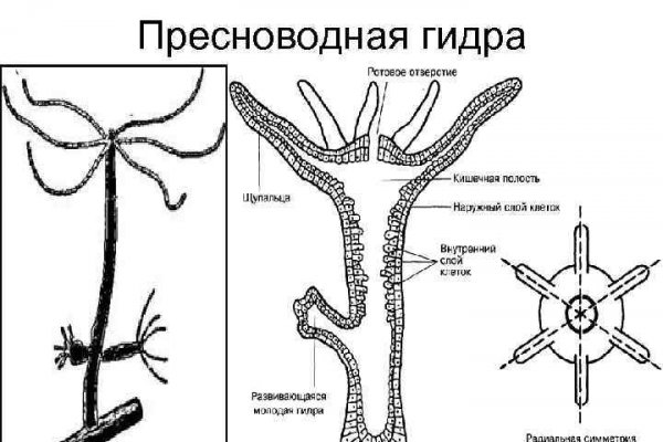 Ссылка на мега маркет sotee