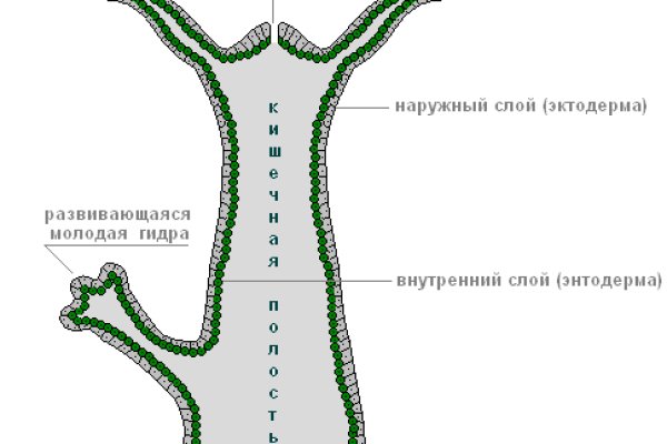 Сайт кракен через тор браузер