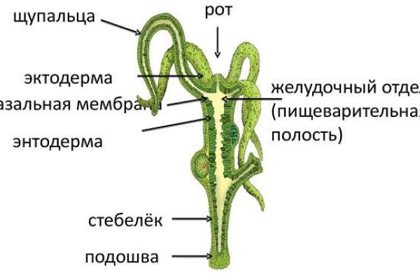 Официальная ссылка kraken kra.mp